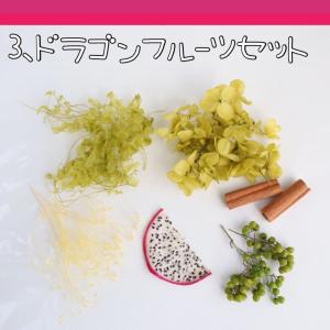 フルーツ ハーバリウム 花材セット オレンジ ...の詳細画像4