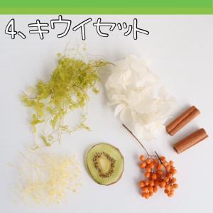 フルーツ ハーバリウム 花材セット オレンジ ...の詳細画像5