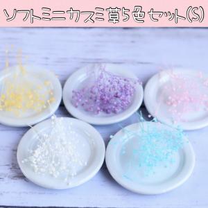 カスミ草　５色セット (S) プリザーブド加工　ハーバリウム　レジン　キット ポイント 花材　お試し　封入　素材 人気　送料無料 122