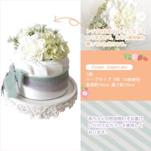 BAMBO Nature バンボネイチャー ダ...の詳細画像1