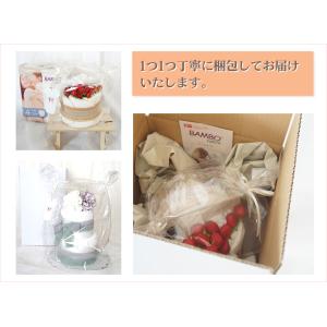 BAMBO Nature バンボネイチャー ダ...の詳細画像5