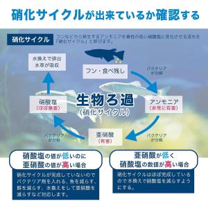 水質検査キット 水槽検査キット 検査キット水槽...の詳細画像3
