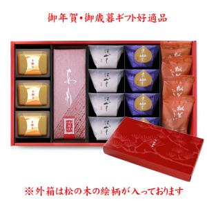 冬ハレ 匠 T-50