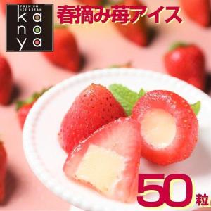 お中元 御中元 アイスクリーム アイス 福袋 食品ロス