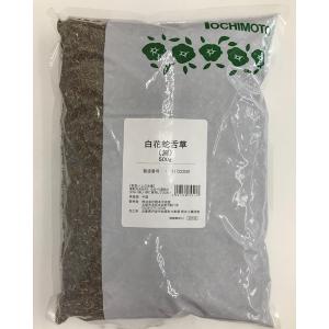 バイキセイ/サルノコシカケ/刻み/500g/大晃生薬/国産】きのこ/ばいき