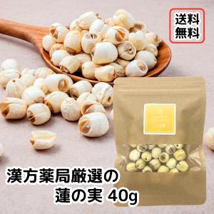 【蓮の実/40g入り】残留農薬検査済 ハスの実 連肉 はすのみ 炊き込みご飯 薬膳粥 薬膳鍋 漢方薬局の和漢素材