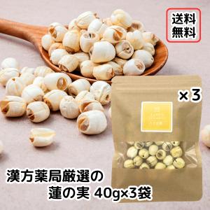 パクパク酵母くん 31袋入り 3箱 糖質 3種の酵母 酵母 サプリ ぱくぱく