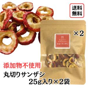 結 YK622 スーパーエリート乳酸菌 タブレットタイプ 120粒 賞味期限