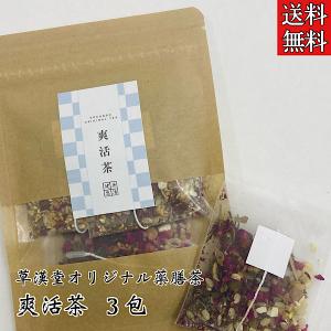【草漢堂の爽活茶/３包入り】ハッカ/マイカイカ/ハーブ/健康茶ハーブティー/和漢茶/リラックス/お茶/無添加/無香料/無着色