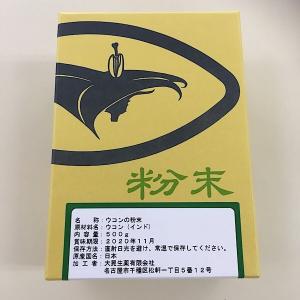 【ウコン/粉末/500g/大晃生薬】スパイス/ターメリック/ウコン/ターメリックパウダー/生薬/漢方/国産