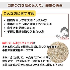 【精白ハトムギ/100g×2袋/国産】添加物不...の詳細画像2