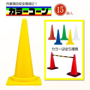カラーコーン用ウェイト 2kg 10個セット ゴム製 黒 工事現場 : 環流 