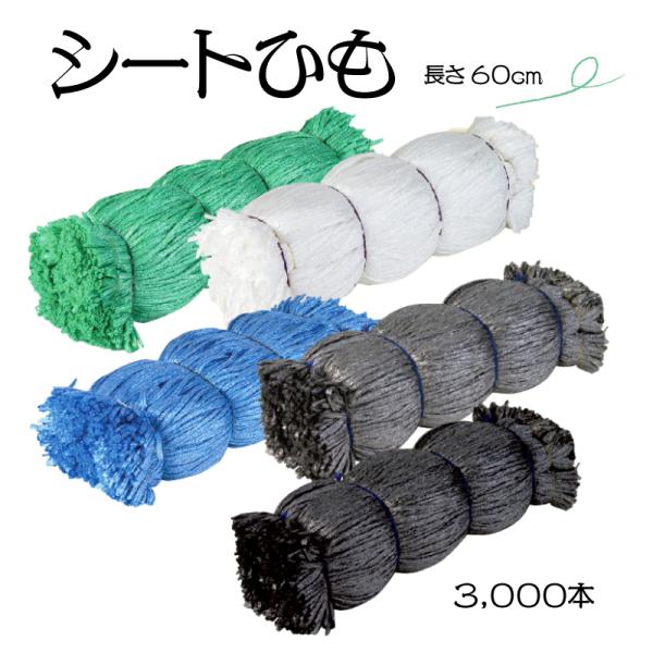 多用途！シート結束ひも 3000本セット 60cm