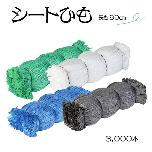 多用途！シート結束ひも 3000本セット 80cm