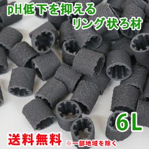 セラミックリングろ材の商品一覧 通販 Yahoo ショッピング