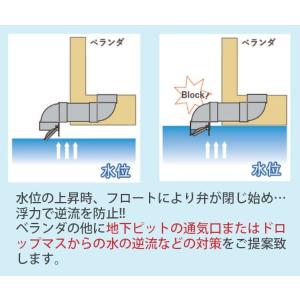 関西化工 ゲリラ豪雨 逆流 排管 縦に配管 縦...の詳細画像2