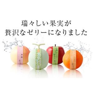 【公式:菓子香房 大阪・甘泉堂】ふるーつぜりー...の詳細画像4