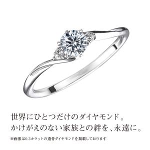 遺骨ダイヤモンド リング Jewel of M...の詳細画像1