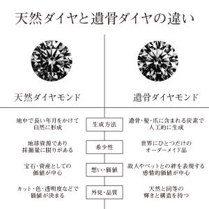 遺骨ダイヤモンド リング Jewel of M...の詳細画像3