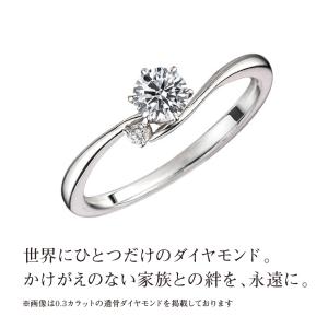 遺骨ダイヤモンド リング Jewel of M...の詳細画像1