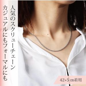 Phiten（ファイテン） チタンチェーン ネックレス 40cm | メンズ