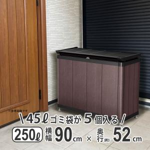 四国化成 屋外収納庫 おしゃれ 物置 屋外 200L 横幅 70cm 倉庫 外用 