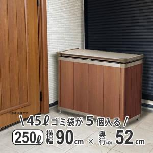 四国化成 屋外収納庫 おしゃれ 物置 屋外 250L 横幅 90cm 倉庫 外用