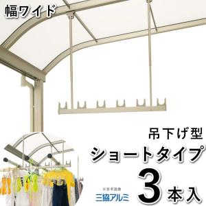 竿掛け 吊り下げ式竿掛け 物干し金物 SATV-03K-2 標準タイプ 2本入 三