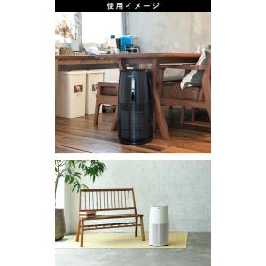 空気清浄機 ウイルス対策 30畳 大型 花粉 ...の詳細画像4