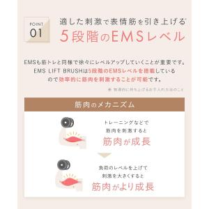 SALONIA サロニア EMS リフトブラシ...の詳細画像4