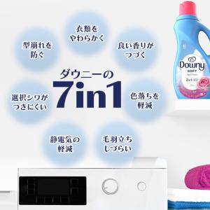 ダウニー ソフト エイプリルフレッシュ 衣料用...の詳細画像1