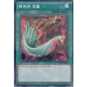 遊戯王 カオス・ソルジャー －開闢の使者－　韓国 kanyugi_20ap-kr027