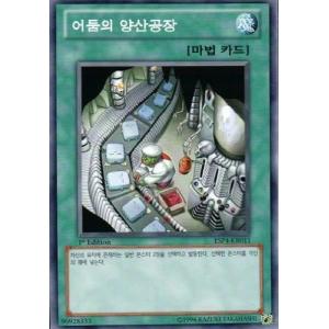 コナミデジタルエンタテインメント 韓国版 遊戯王 韓国オリジナル