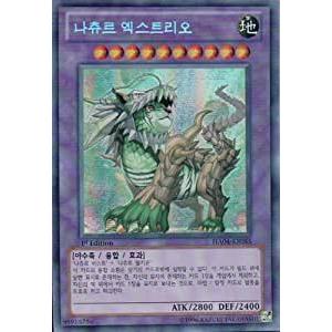 韓国版　遊戯王 ナチュル・エクストリオ 【シクレア】 HA04-KR055