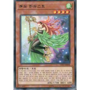 遊戯王オフィシャルカードゲーム デュエルモンスターズ 遊戯王カード 