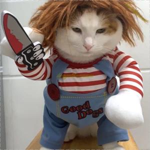 猫 面白い服の商品一覧 通販 Yahoo ショッピング