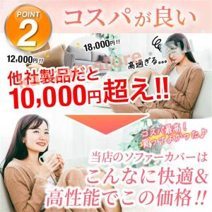 ソファーカバー 3人掛け 2人掛け 肘なし 肘...の詳細画像3