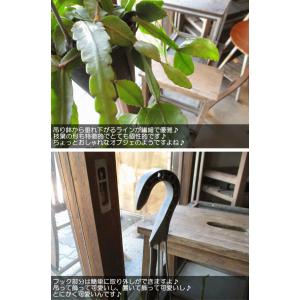 リプサリス エリプティカ 4号 吊り鉢 鉢植え...の詳細画像3