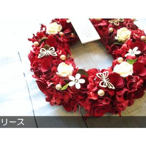 リース バタフライ ナチュラルリース Lサイズ...の詳細画像1