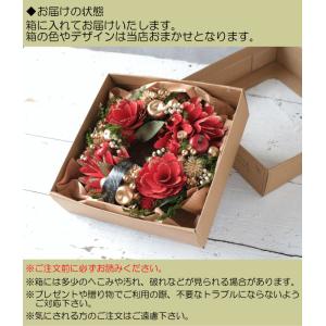 リース バタフライ ナチュラルリース Lサイズ...の詳細画像3