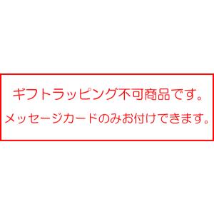 リース ベーシックレッド ナチュラルリース L...の詳細画像4