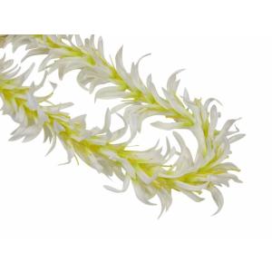 NEWタイプスパイダーリリーレイホワイト2  (めしべの芯は黄色) FL210