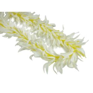 フラダンス  スパイダーリリーロングレイ  ホワイト2  (めしべの芯は黄色) FL239