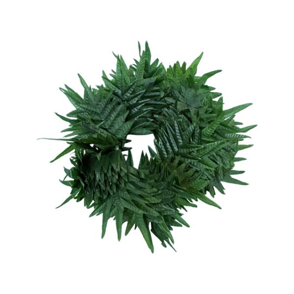 ラウアエ ファーン ダブルブレスLaua'e Fern double bracelet/FB73