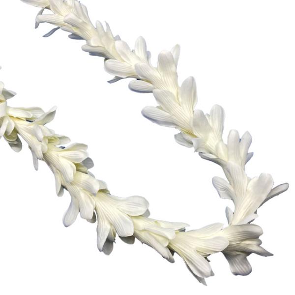 特価 JL Islandチューベローズ/クリーム/ロングレイFL497