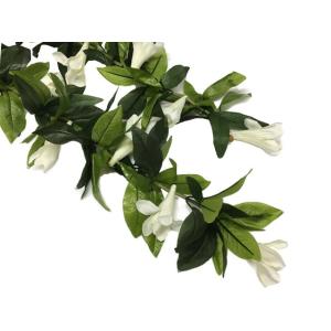 Kapalili　マイレ　チューベローズレイ オープンタイプ( 少しシャカシャカしています)品番FL...