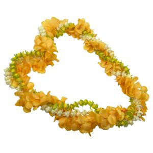 Kapaliliパカラナ・ピカケ・プアケニケニ...の詳細画像1