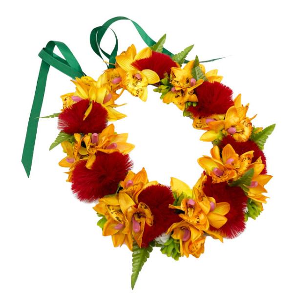 Kapaliliデラックスレフア オーキッドレイ/品番FLKP500