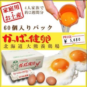 かっぱの健卵」 40個入り : 大熊養鶏場 - 通販 - Yahoo!ショッピング