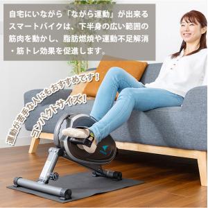 エアロバイク サイクルマシン エアロライフ ス...の詳細画像1
